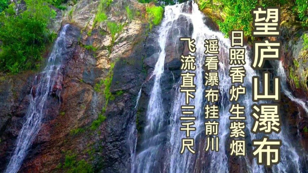 黄球大冒险